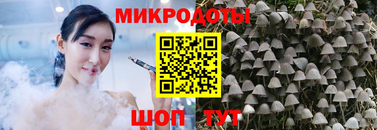 Галлюциногенные грибы MAGIC MUSHROOMS Качканар