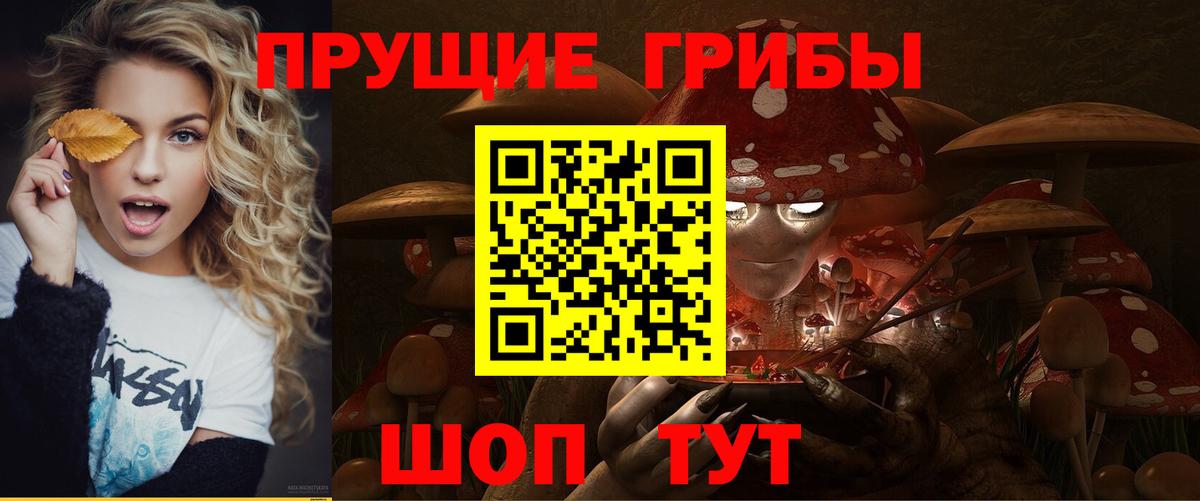 Псилоцибиновые грибы GOLDEN TEACHER  Вход с VPN  Качканар  Галлюциногенные грибы Magic Shrooms 